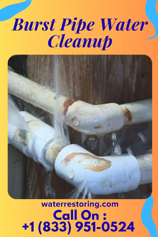 Burst Pipe Water Cleanup in Lyman, SC