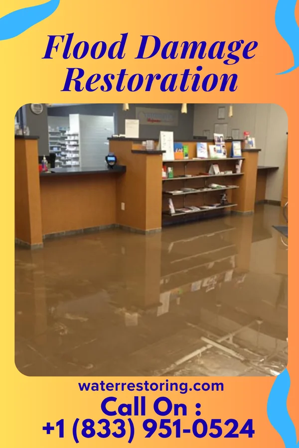 Flood Damage Restoration in Lyman, SC