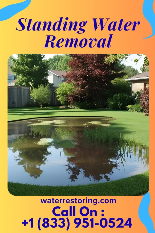 Standing Water Removal in Lyman, SC